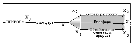  Рис. 1.3–1. Иллюстрирующий сценарий коэволюции природы, биосферы, человека и «обработанной» человеком природы 