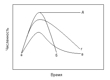  Рис. 4. Возможные сценарии эволюции видов и человека 