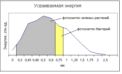  Рис. 6. Область усвоения солнечной энергии фотосинтезом растений и бактерий 