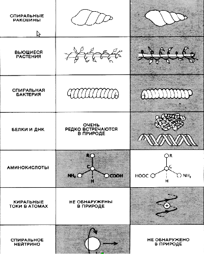  Рис.2.9. Мир киральности 