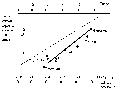  Рис. 4.1.3-1. Диаграмма соотношений числа генов и количеств ДНК в клетках различных организмов 