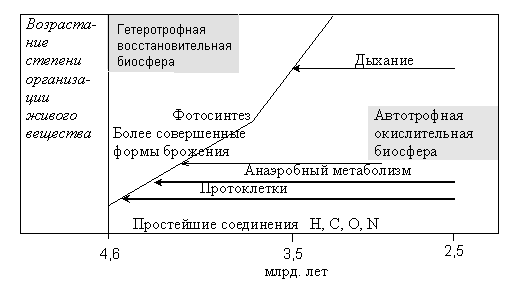  Рис. 4.1.8-1.  Развитие во времени различных условий и функций в организации живого вещества на Земле 