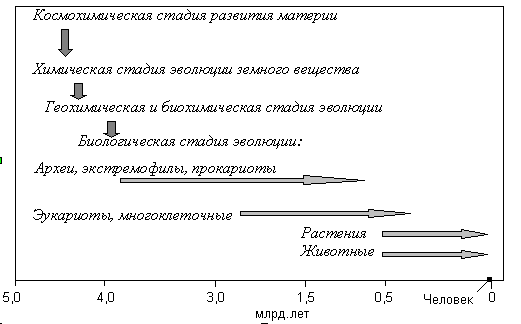  Рис. 4.1.8-2. Схема эволюции жизни на Земле 