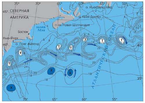  Рис.1. Распределение температуры воды (°С) на поверхности океана в районе Гольфстрима 29 апреля — 2 мая 1982 г. [Каменкович, Кошляков, Монин, 1982]. Т и Х — аномалии теплой и холодной воды; пунктир — изобата 1000 м. Синие стрелки — направления предполагаемых течений. 