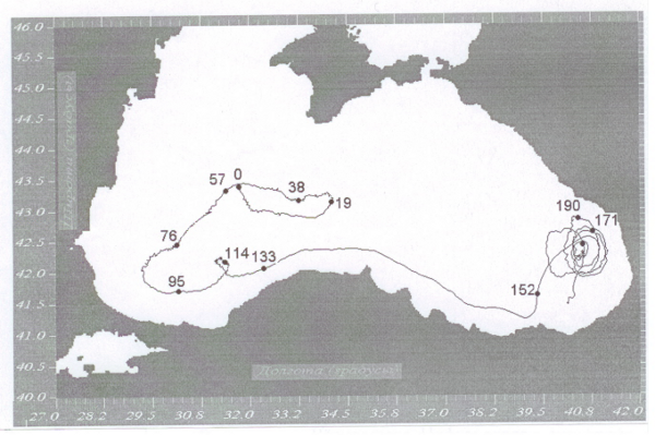  Рис. 8. Трасса дрифтера запущенного в воды Чёрного моря. Числа около точек - время движения дрифтера с момента его запуска (в сутках). 