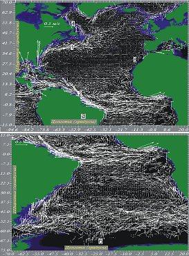  Рис. 3а, б. Векторы средних по ансамблю дрифтерных наблюдений течений Северного (а) и Южного (б) полушарий Атлантического океана. Течения: 1 – Гольфстрим, 2 – Гвианское, 3 – Бразильское, 4 – Лабрадорское, 5- Фольклендское, 6 – Канарское, 7 – Бенгельское. 